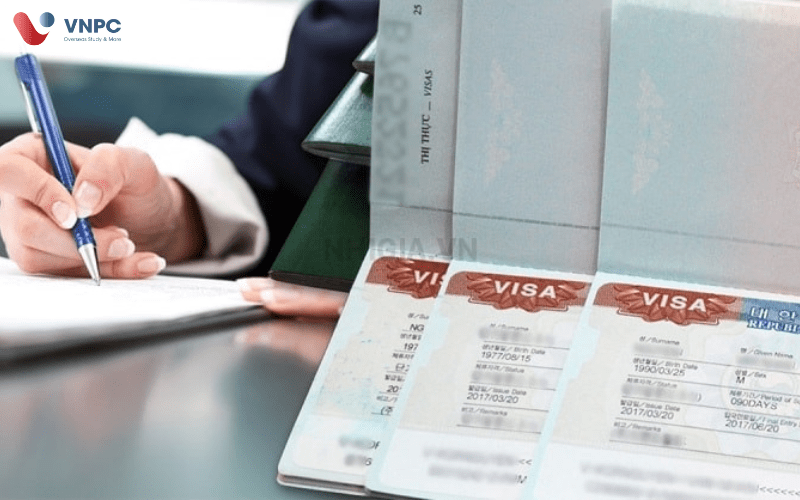 Visa D41